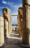 EgyptJanuary2000Part1Photo1s.jpg (55985 bytes)
