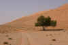 230_3083_1.JPG (435283 bytes)