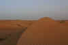 231_3120_1.JPG (410246 bytes)